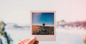 The Importance of Pictures In Your Stories