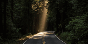 The Unexpected Joys of Writing